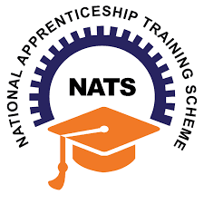 National Apprenticeship Scheme – Student Internship Initiative